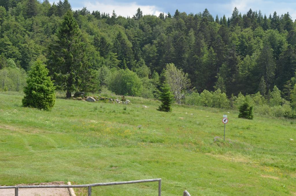 Auberge D'Altitude De Grouvelin Gerardmer Luaran gambar